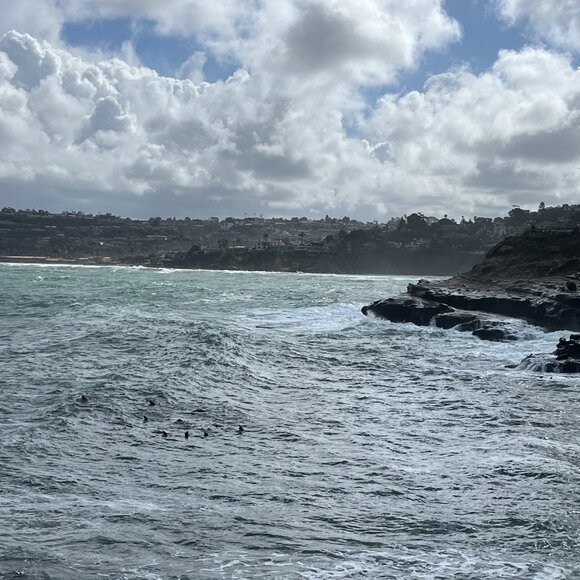 Meet your Posher - Picture 1 of 1